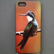 MINIOPAL CASE 14047 [iPhone5用 背面カバータイプ PR アニマルプリント鳥]