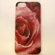 MINIOPAL CASE 04291 [iPhone5用 背面カバータイプ PR プリント花バラ]