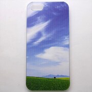 MINIOPAL CASE 94363 [iPhone5用 背面カバータイプ PR 空プリント]