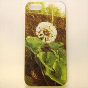 MINIOPAL CASE 04413 [iPhone5用 背面カバータイプ PR プリント花たんぽぽ]