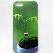 MINIOPAL CASE 04635 [iPhone5用 背面カバータイプ PR プリント]