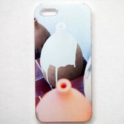 MINIOPAL CASE 05045 [iPhone5用 背面カバータイプ PR プリント]