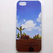 MINIOPAL CASE 95155 [iPhone5用 背面カバータイプ PR プリント風景]