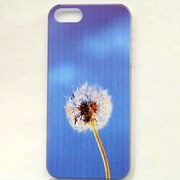 MINIOPAL CASE 05243 [iPhone5用 背面カバータイプ PR プリントたんぽぽ]