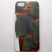 MINIOPAL CASE 15631 [iPhone5用 背面カバータイプ PR プリント木]