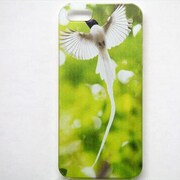 MINIOPAL CASE 05861 [iPhone5用 背面カバータイプ PR アニマルプリント鳥]