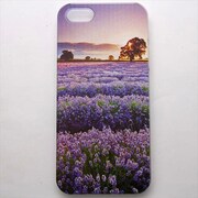 MINIOPAL CASE 96848 [iPhone5用 背面カバータイプ PR プリント花ラベンダー]
