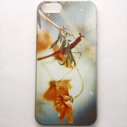 MINIOPAL CASE 07377 [iPhone5用 背面カバータイプ PR プリント]