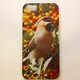 MINIOPAL CASE 17406 [iPhone5用 背面カバータイプ PR アニマルプリント鳥]