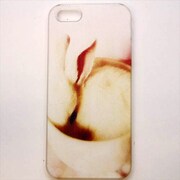 MINIOPAL CASE 17529 [iPhone5用 背面カバータイプ PR アニマルプリントウサギ]