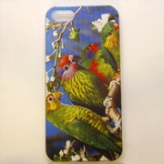 MINIOPAL CASE 97616 [iPhone5用 背面カバータイプ PR アニマルプリントインコウ]