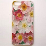 MINIOPAL CASE 97869 [iPhone5用 背面カバータイプ PR フラワープリント]