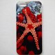 MINIOPAL CASE 97944 [iPhone5用 背面カバータイプ PR サンゴ礁プリント]