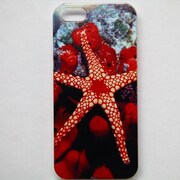 MINIOPAL CASE 97944 [iPhone5用 背面カバータイプ PR サンゴ礁プリント]