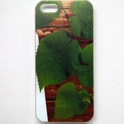 MINIOPAL CASE 98637 [iPhone5用 背面カバータイプ PR フラワープリント]