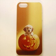 MINIOPAL CASE 18755 [iPhone5用 背面カバータイプ PR アニマルプリント犬]