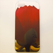 MINIOPAL CASE 19110 [iPhone 5用ケース]
