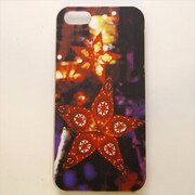 MINIOPAL CASE 09227 [iPhone5用 背面カバータイプ PR カラフルプリント]