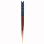 青亀甲23cm 16921