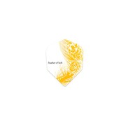 sdf0184 [S4（エスフォー） Flights ラッキーフェザー]