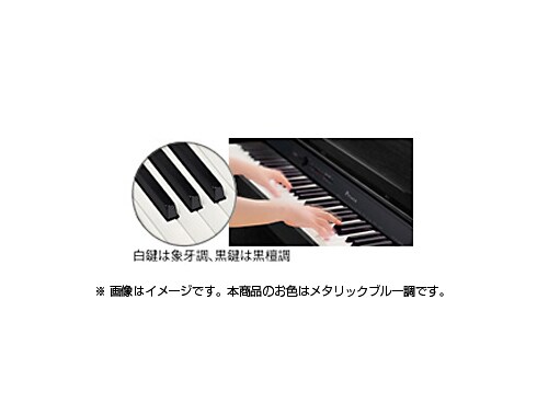 ヨドバシ.com - カシオ CASIO 電子ピアノ メタリックブルー調 PX