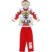 ライダー変身フォトプリPJ 2211805 バロン110