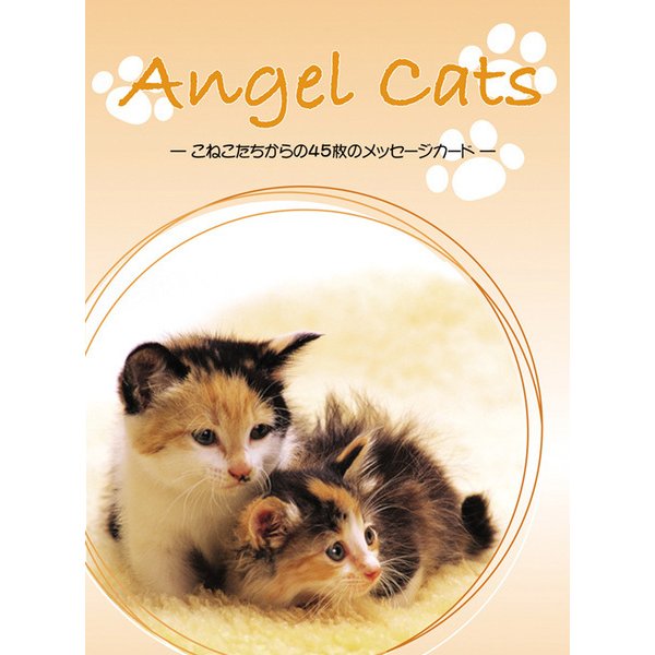 エンジェルキャット