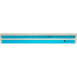 データ読取スケール アクリル製 30cm 77070