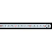 ピックアップスケールシルバー60cm cm表示 上下1mmピッチ 赤数字入 JIS 13137