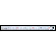13528 [マグネチックスケール シルバー 30cm 赤数字入 マグネット付 JIS]