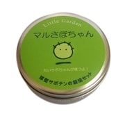 LG-39 [リトルガーデン マルさぼちゃん 種から育てるサボテン]