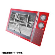 SP-2699 [テレフォンビジョン]