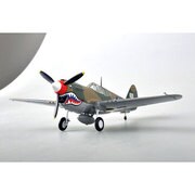 39313 [1/48 P-40M 中国戦線 1945]