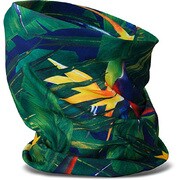 AD232-929 [PROWLER FLR フローラル]