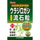 ウラジロガシ流石粒 240粒入（約26日分）