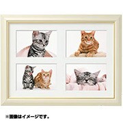 FM多面 パールホワイト L-4 木製デザインフレーム