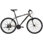 マウンテンバイク MATTS(マッツ) 5-V 46cm 26型 外装21段変速 マットチタン BMM05464 ES03