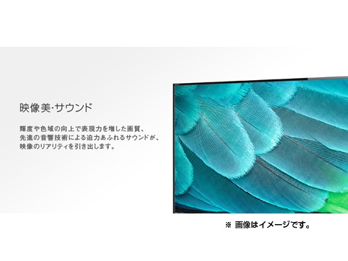 ヨドバシ.com - 東芝 TOSHIBA REGZA(レグザ) 55V型 地上・BS ヨドバシ.com - 東芝 TOSHIBA REGZA(レグザ) 55V型 地上・BS