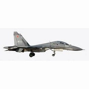 72030001 [1/72 Su-30MK ロシア空軍 #502]