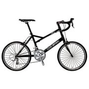 小径車(ミニベロ) 410mm 20型 外装20段変速 14L-FJ012 LGブラック LGS-MV 3S