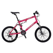 小径車(ミニベロ) 410mm 20型 外装20段変速 14L-FJ128 ピーチブロッサム LGS-MV 5FS