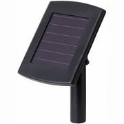 ソーラー パスフラワーライト 2個セット LGS-67