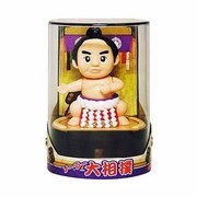 ソーラー大相撲