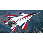 AC34 [1/144 技MIX U.S.AIR FORCE F-15 S/MTD]