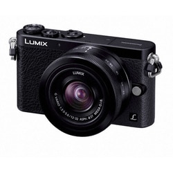 極美品】Panasonic DMC-GM1K 等しく レンズ プロテクター付属