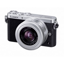 Panasonic Lumix GM