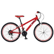 子ども用自転車 24型 外装18段変速 レッド Ferrari AL-ATB2418Fsus