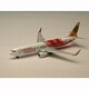 8027 [1/500 B737-800 エア・インディア・エクスプレス VT-AXB]