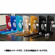 AC316G [鬼キャンバーゲージ ゴールド]