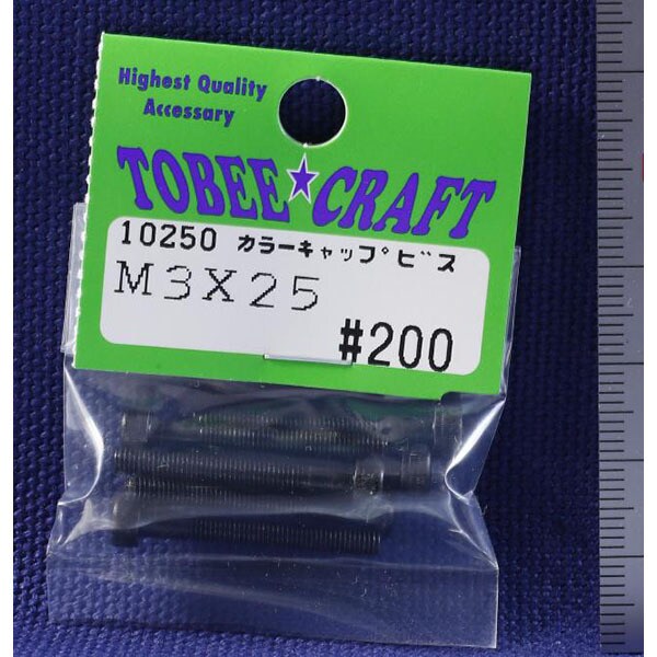 10250 [カラーキャップビス M3×25]